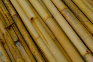 achtergrond fotografie. getextureerde achtergrond. een stapel van trossen van oud geel bamboe. oud bamboe is verzameld Aan de kant van de weg voor gebouw bouw. bandoeng, Indonesië foto