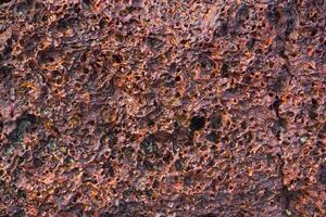 zee steen textuur. rood koraal. foto