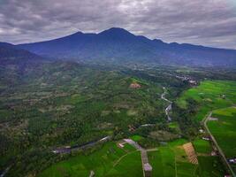 mooi ochtend- visie van Indonesië van bergen en tropisch Woud foto