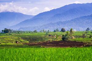 mooi ochtend- visie van Indonesië van bergen en tropisch Woud foto