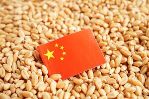 China vlag Aan graan tarwe, handel exporteren en economie concept. foto