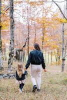 weinig meisje wandelingen door de herfst Woud, Holding haar moeder hand. terug visie foto