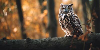 uil vogel zittend Aan een banch boom. wil leven natuur buitenshuis Woud achtergrond landschap tafereel foto