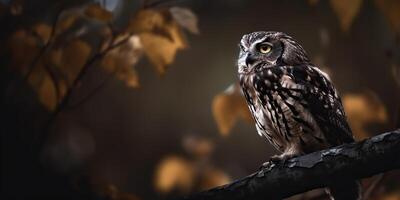 uil vogel zittend Aan een banch boom. wil leven natuur buitenshuis Woud achtergrond landschap tafereel foto