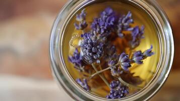 een pot van eigengemaakt gemakkelijk siroop doordrenkt met lavendel klaar naar worden gebruikt in Frisdrank maken foto