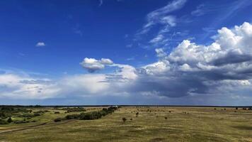 zomer landschap van de steppe foto