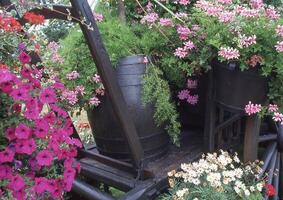 een wagon gevulde met bloemen en planten foto