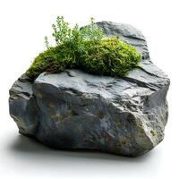 groen mos Aan een steen geïsoleerd Aan wit achtergrond met schaduw. rots met Woud mos geïsoleerd. rots met wild Woud gras en natuur foto
