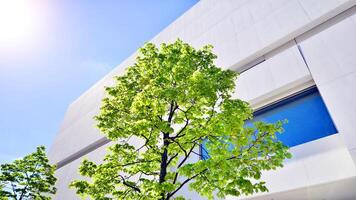 modern wit beton gebouw muren tegen blauw lucht. eco architectuur. groen bomen en beton kantoor gebouw. de harmonie van natuur en moderniteit. foto