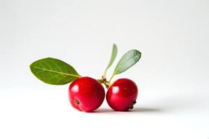 twee bosbessen in een gemakkelijk instelling, rijk rood tegen een wit achtergrond foto