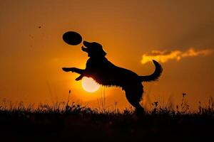 silhouet van een hond vangen een frisbee Bij zonsondergang, actief en pret viering van hond dag foto