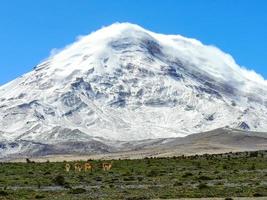 chimborazo vulkaan, ecuador foto