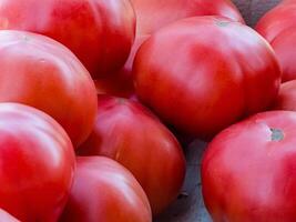 tomaten. vers biologisch groenten. detailopname. gezond aan het eten concept foto