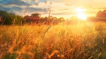 een vredig weide met een teder bries blazen door de hoog gras portie net zo een backdrop voor iemand naar laat Gaan van spanning en spanning door begeleid beelden meditatie foto