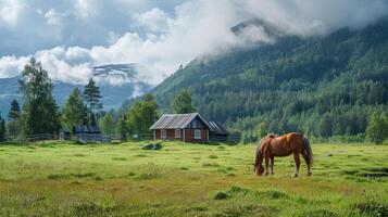 een paard begrazing vredig in een weelderig groen weiland alleen maar buiten van een sauna gebouw genieten van de rustgevend Effecten van de warmte. foto