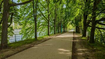 rustig rivieroever wandelen pad bekleed met weelderig groen bomen Aan een zonnig voorjaar dag, ideaal voor aarde dag thema's en buitenshuis vrije tijd concepten foto