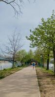 individu jogging Aan een rustig rivieroever pad in lente, bevorderen geschiktheid en aarde dag activiteiten, temidden van ontluikend bomen en Doorzichtig luchten foto