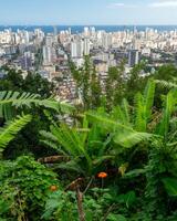 de horizon van santos met bomen in de voorgrond. santos, Brazilië. foto