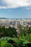 de horizon van santos met bomen in de voorgrond. santos, Brazilië. foto