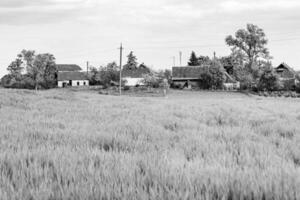 mooi horizon landschap in dorp weide Aan kleur natuurlijk achtergrond foto