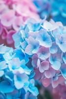 dichtbij omhoog van voortreffelijk blauw en roze bloemen, presentatie van verbijsterend detail en levendig kleuren foto