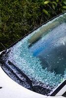 wees gegroet ballen in maart, natuurlijk lente het weer, kan oorzaak schade foto