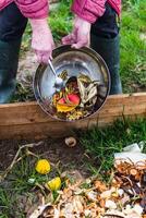 persoon wie zetten in een composteerder sommige keuken verspilling Leuk vinden groenten, fruit, eierschaal, koffie gronden in bestellen naar soort en maken bio kunstmest foto