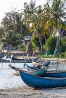 traditioneel boten Bij O lening lagune in zonsondergang, phu yen provincie, Vietnam foto