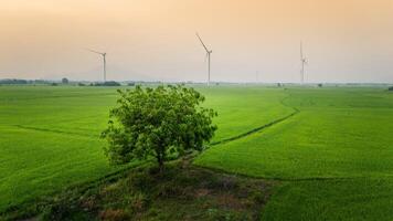 visie van turbine groen energie elektriciteit, windmolen voor elektrisch macht productie, wind turbines genereren elektriciteit Aan rijst- veld- Bij phan belde, ninh donderdag provincie, Vietnam foto