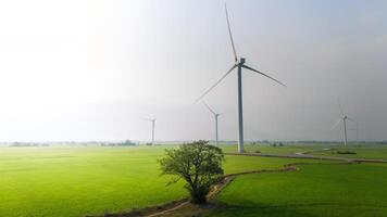 visie van turbine groen energie elektriciteit, windmolen voor elektrisch macht productie, wind turbines genereren elektriciteit Aan rijst- veld- Bij phan belde, ninh donderdag provincie, Vietnam foto