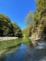 kristalhelder berg rivier- stromen voorzichtig door levendig bebost heuvels, gevangen genomen Aan een zonnig dag, perfect voor avontuur en ecologie thema's foto