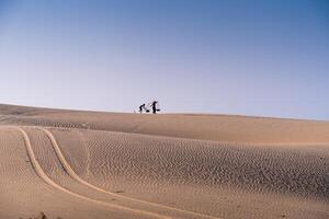 antenne visie van een Onderdaan vrouw draagt een bamboe kader Aan de schouder aan de overkant zand duinen in ninh donderdag provincie, Vietnam. het is een van de meest mooi plaatsen in Vietnam foto