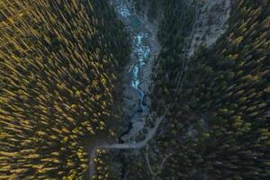 antenne visie van mistaya Ravijn, rotsachtig bergen, Canada. foto