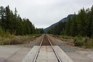 trein sporen kruispunt de rotsachtig bergen van Canada foto