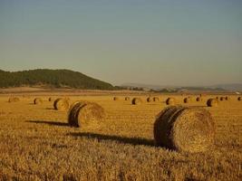 strobalen in een graanveld vroeg in de ochtend, almansa, spanje foto