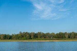 horizontaal en landschap visie van rivier. met achtergrond van kust is gedekt met gras en bossen. onder blauw lucht en zacht wit wolken. foto