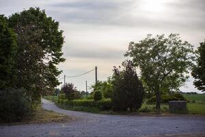 platteland weg in Italië foto