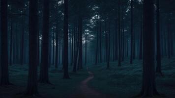 herfst donker boom Woud panorama landschap foto