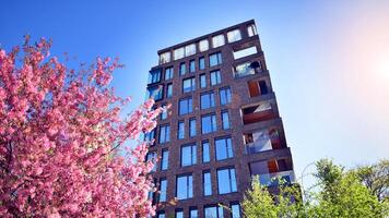 eco architectuur. groen boom en nieuw woon- gebouw. harmonie van natuur en moderniteit. modern appartement gebouw met nieuw appartementen in een groen woon- Oppervlakte. foto