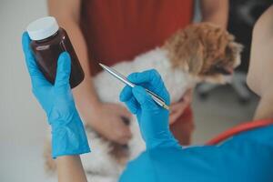 detailopname schot van dierenarts handen controle hond door stethoscoop in dierenarts kliniek foto