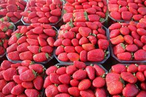 fruit en groenten zijn verkocht Bij een bazaar in Israël. foto