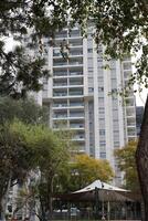 gebouwen en structuren in tel aviv tegen de achtergrond van takken en bladeren van hoog bomen. foto