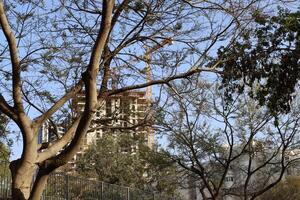 gebouwen en structuren in tel aviv tegen de achtergrond van takken en bladeren van hoog bomen. foto