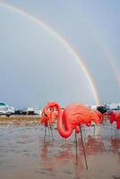 levendig roze flamingo ornamenten in regen gekust woestijn foto