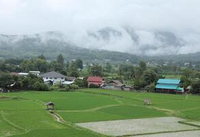 groen rijst- velden met mist over- de heuvels achtergrond in de ochtend- in nan provincie, thailand. foto