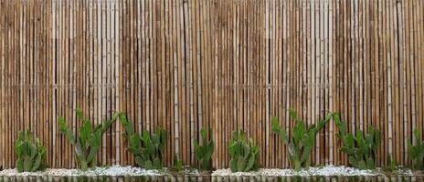 bamboe muur versierd met groen cactus foto