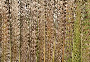 milieuvriendelijk muur geweven van een kokosnoot blad. abstract natuur achtergrond. foto