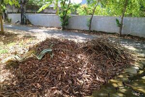 een stapel van droog bladeren van de ramboetan boom foto