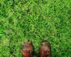 top visie van oranje sportschoenen, rennen of mode schoenen Aan gras veld- of gazon met bovenstaand kopiëren ruimte. foto