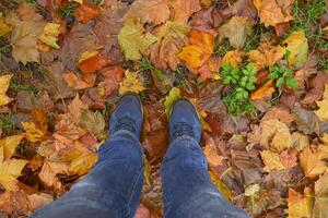 pov van mannen wandelen Aan herfst bladeren in Woud foto